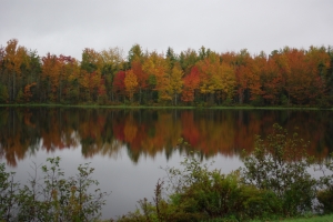 Maine Fall